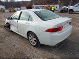 Acura Tsx JH4CL96845C017393 снимка