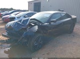 Miniaturka zdjęcia 2