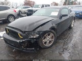 Ford Mustang V6 1ZVBP8AMXE5230933 снимка