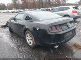 Ford Mustang V6 1ZVBP8AMXE5230933 снимка