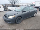 Toyota Corolla Le 2T1BU4EE3AC491003 снимка