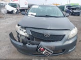 Toyota Corolla Le 2T1BU4EE3AC491003 fotografie