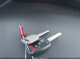 Miniaturka zdjęcia 11