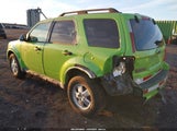 Ford Escape Xlt 1FMCU9D74CKB37654 fotografie