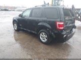 Ford Escape Xlt 1FMCU93198KD98993 photo