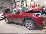 Toyota Rav4 Hybrid Xle 2T3RWRFV5RW224094 photo