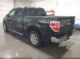 Ford F-150 Xlt 1FTFW1ET5EFC14228 снимка
