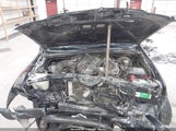 Toyota Tacoma Base V6 5TEMU52N57Z456145 fotografie