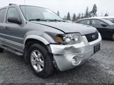 Ford Escape Xlt/Xlt Sport 1FMCU93167KA14652 photo