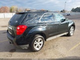 Miniaturka zdjęcia 4