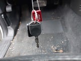 Miniaturka zdjęcia 11