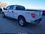 Ford F-150 Fx4/Harley-Davidson/King Ranch/Lariat/Platinum/Xl/Xlt 1FTFW1EV6AFD44160 fotografie