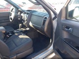 Ford Escape Xlt 1FMCU0D71BKA42950 fotografie