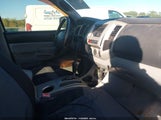 Toyota Tacoma Base V6 5TELU42N66Z307635 photo