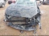 Miniaturka zdjęcia 6