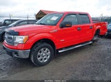 Miniaturka zdjęcia 2