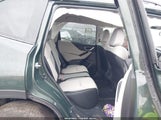 Miniaturka zdjęcia 8