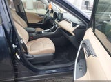 Toyota Rav4 Xle JTMW1RFV5KD513061 снимка