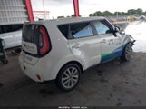 Miniaturka zdjęcia 4