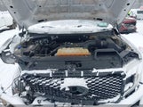 Ford F-150 Xl 1FTEX1EP7KFA27208 снимка