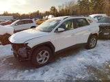 Hyundai Tucson Sel 5NMJBCAE0PH211557 снимка