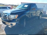 Ford F-150 Xlt 1FTMF1EMXBFC65137 снимка