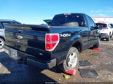 Ford F-150 Xlt 1FTMF1EMXBFC65137 снимка