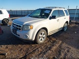 Ford Escape Xlt 1FMCU0DG3AKB43731 fotografie