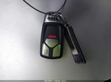 Miniaturka zdjęcia 11