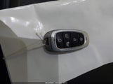 Miniaturka zdjęcia 11