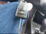 Miniaturka zdjęcia 11