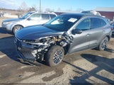 Ford Escape Phev 1FMCU0E13RUA35667 снимка