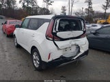 Miniaturka zdjęcia 3