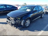 Miniaturka zdjęcia 2