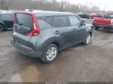 Miniaturka zdjęcia 4