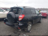 Toyota Rav4 JTMBF4DV3A5030831 fotografie