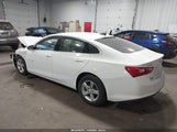 Miniaturka zdjęcia 3