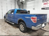 Ford F-150 Fx4/King Ranch/Lariat/Platinum/Xl/Xlt 1FTPW14VX9FA24812 fotografie