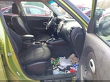 Miniaturka zdjęcia 5