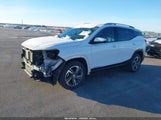GMC Terrain Slt 3GKALVEV0JL328685 снимка