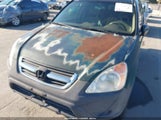 Honda Cr-V Lx JHLRD684X2C007399 снимка