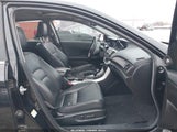 Honda Accord Sdn Ex-L 1HGCR2F84DA234185 снимка