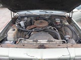 Chevrolet Caprice Classic 1G1BN69H0GY166819 fotografie