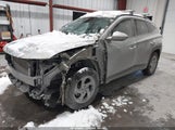 Miniaturka zdjęcia 2