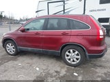 Honda Cr-V Ex-L 5J6RE48799L048300 fotografie