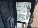 Miniaturka zdjęcia 9