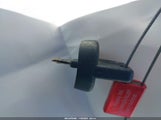 Miniaturka zdjęcia 11