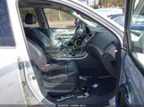 Miniaturka zdjęcia 5