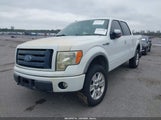 Ford F-150 Fx4/Harley-Davidson/King Ranch/Lariat/Platinum/Xl/Xlt 1FTFW1EV2AFC33783 снимка