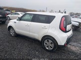 Miniaturka zdjęcia 3